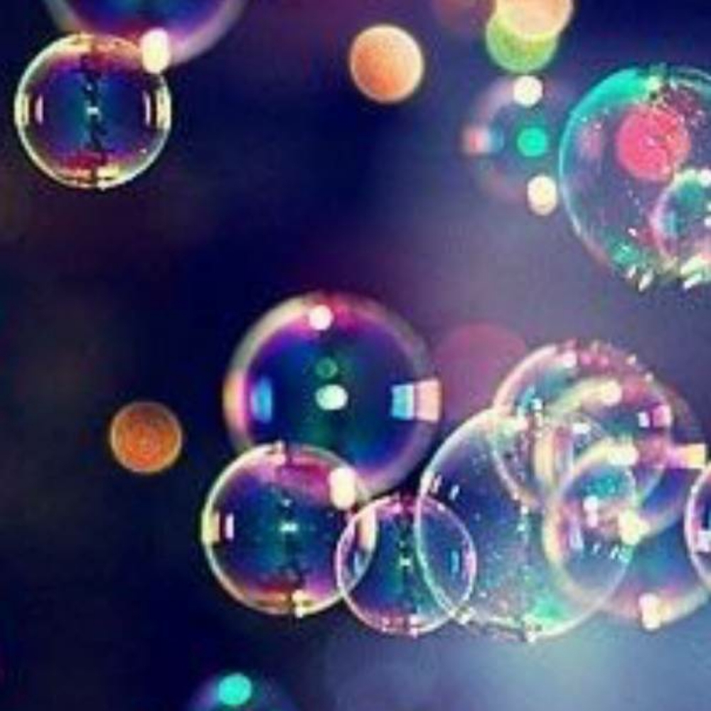 Meet your Posher, Carina